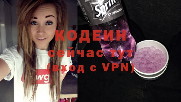 индика Россошь